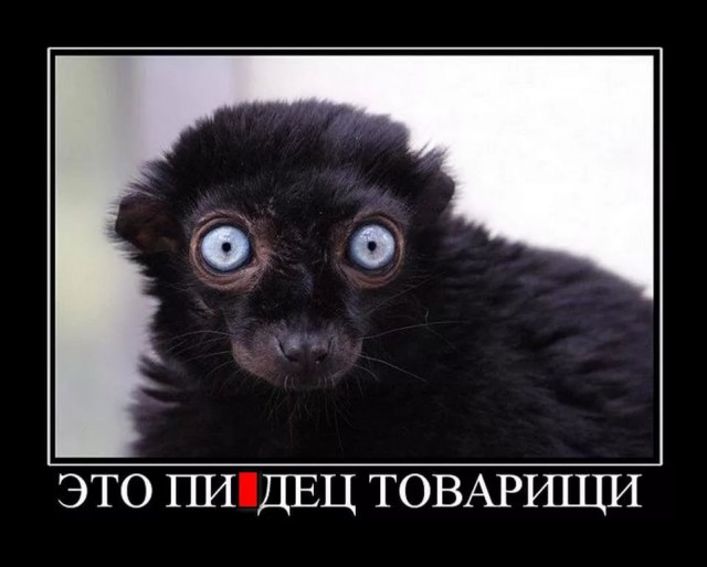 Сбор информации от товарища майора