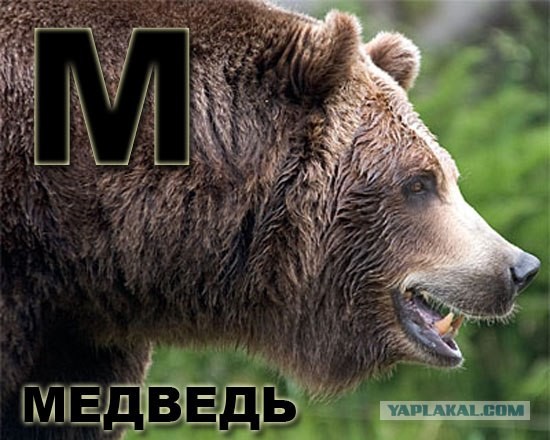 Как определить характер по буквам имени