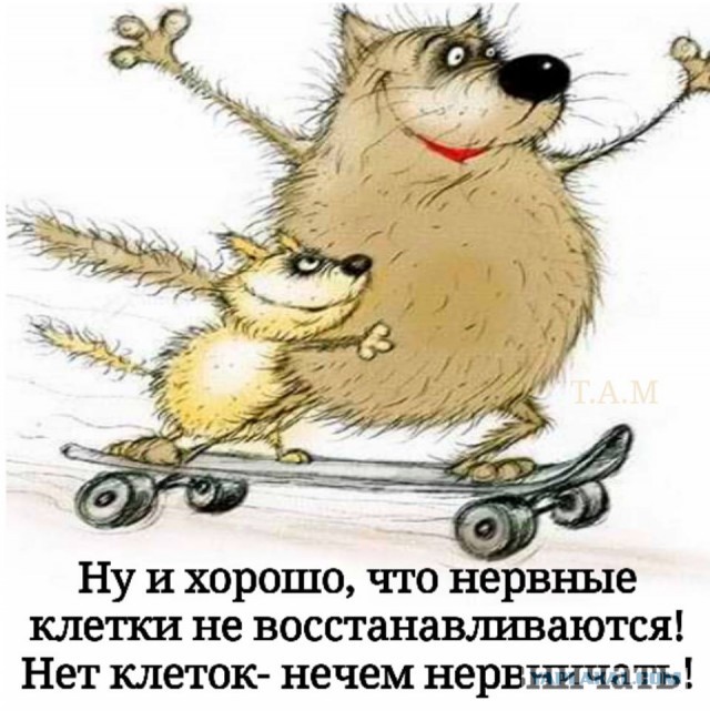 Чуток картинок! Финал в этом году
