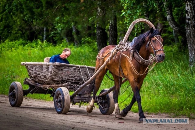 В России создана принципиально новая бесступенчатая коробка передач