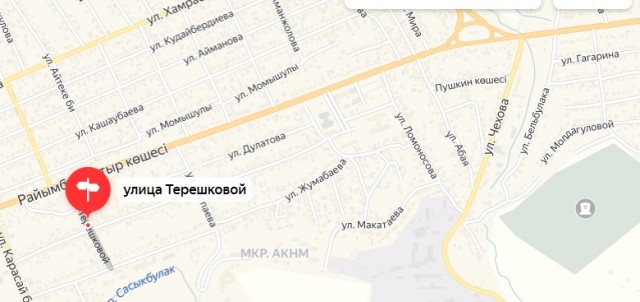 Уральцы ответили Терешковой, предложив "обнулить" название улицы в ее честь
