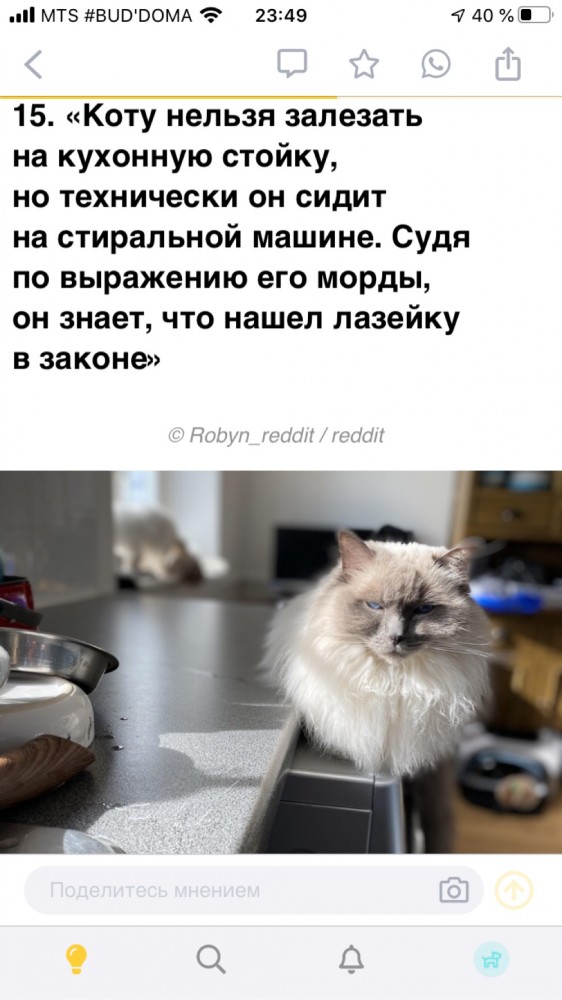 Немного картинок для настроения 29.03.20