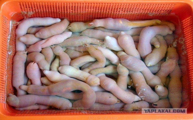 Продуктовый набор от Цахаль