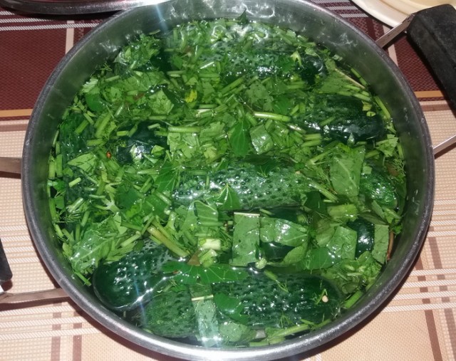 Секс в машине, личный опыт!