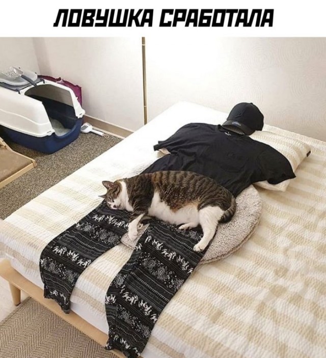 Юмор в картинках 17.08.20