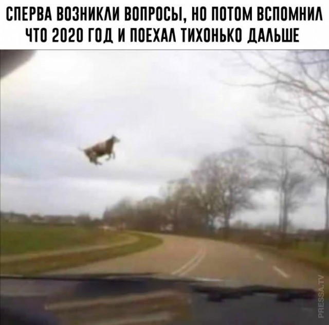 Немного картинок для настроения 05.11.20