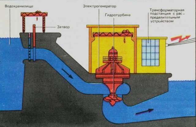Турбина сделала бум