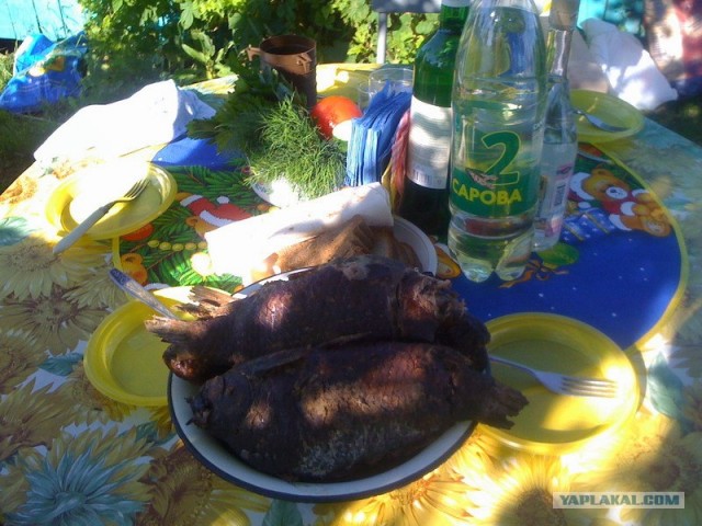 Все из рыбы!