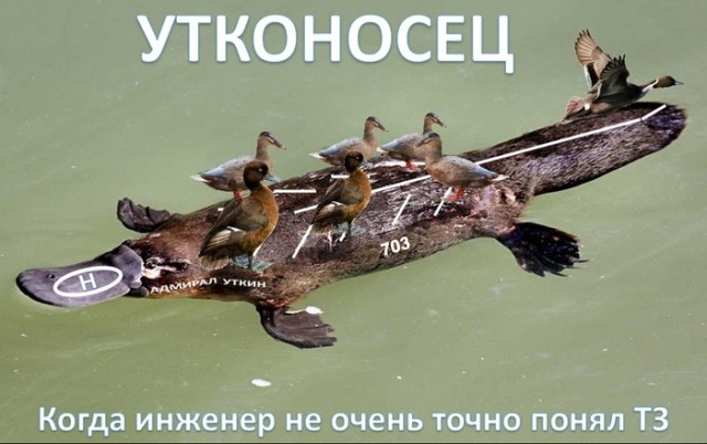 Весёлый полтишок 12.07