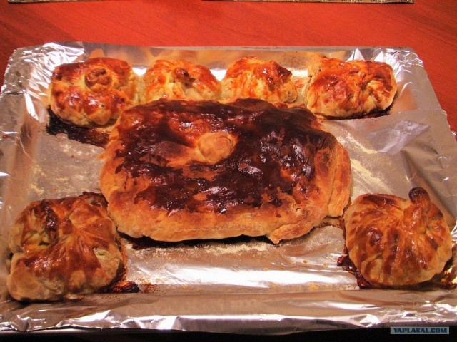 Пятничные посиделки на теплотрассе ©