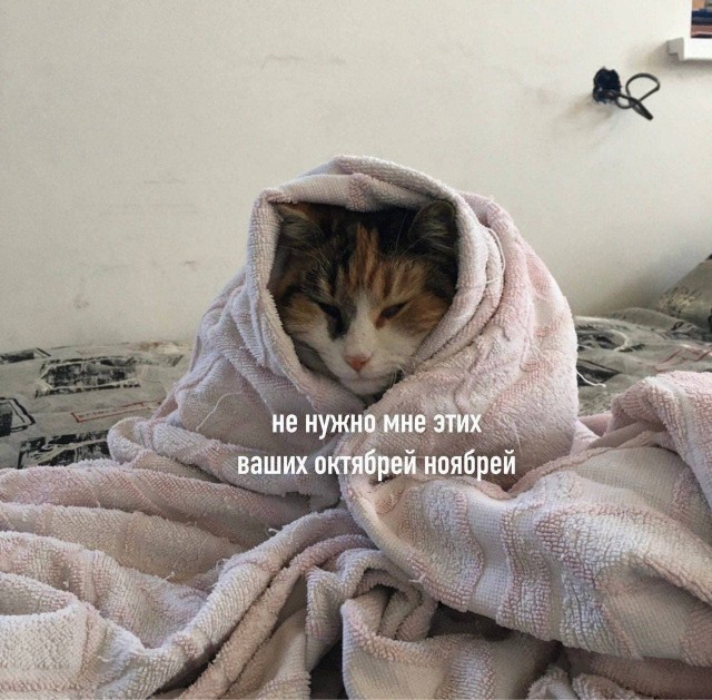 Весёлый полтишок 05.11