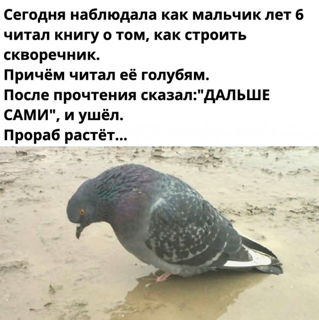 Так себе картинки 21.11.21
