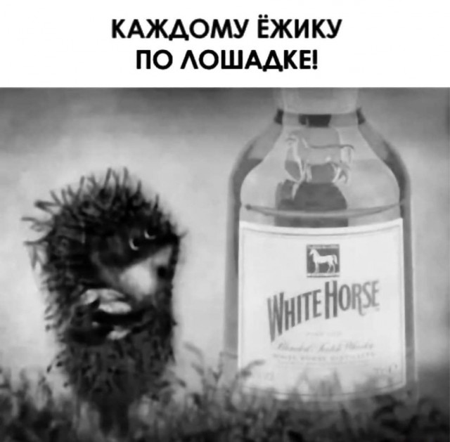 Картинки и мемы для настроения 23.11.2021