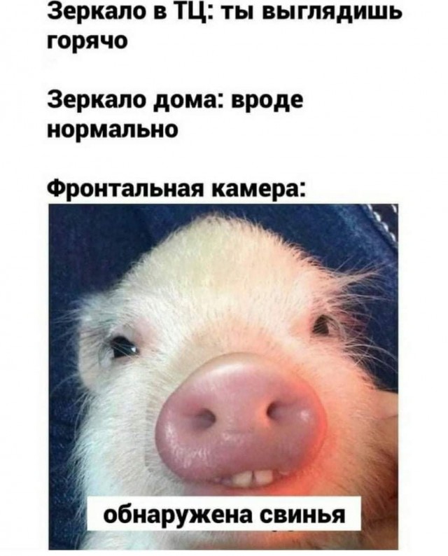 Всяческие картинки 29.12.2021
