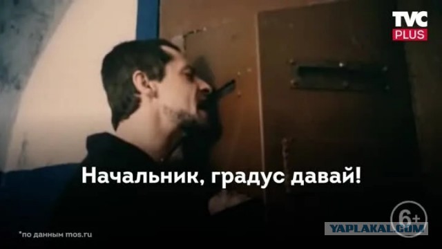 Начальник градус давай. Красный октябрь концерты. Концерт фото. Концерт фото. Дай градус.