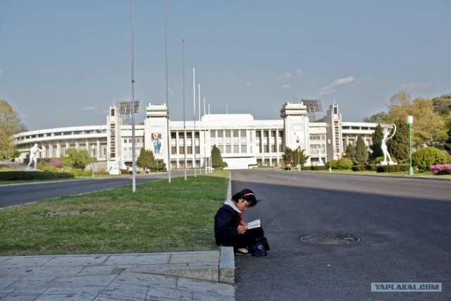 Северная Корея "в цвете"