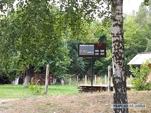 Зона отчуждения. Полесский радиационно-экологический заповедник. д.Погонное (Хойникский р-н, Гомельская обл)