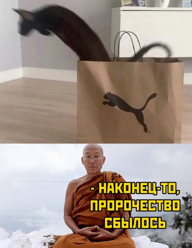 Картинки и мемы. Выходные близко...