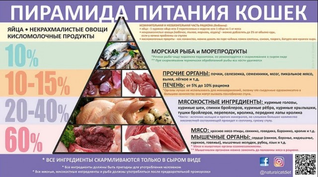 6 кг доброты и независимости