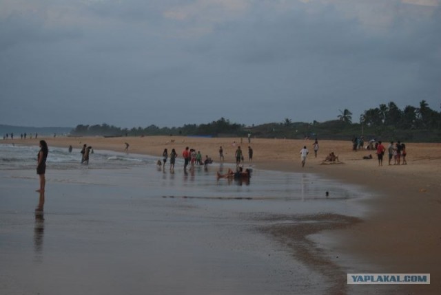 ГоА свои впечатления