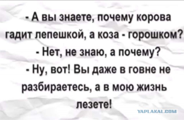 Веселые буквы