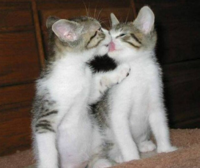 Подборка интересных и прикольных фото из Сети 01.04.23