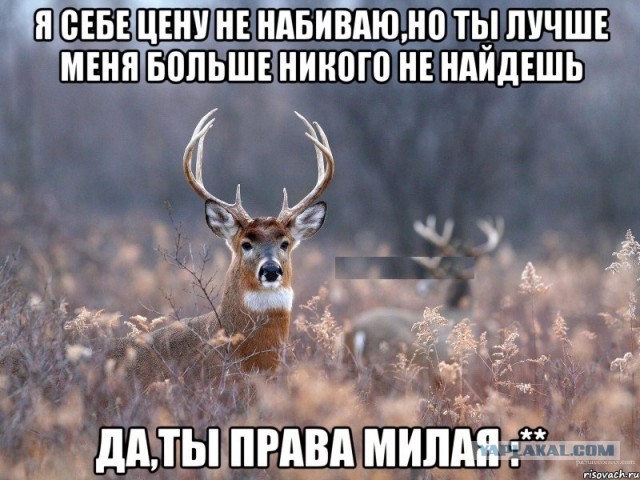 Лукашенко наконец появился на публике