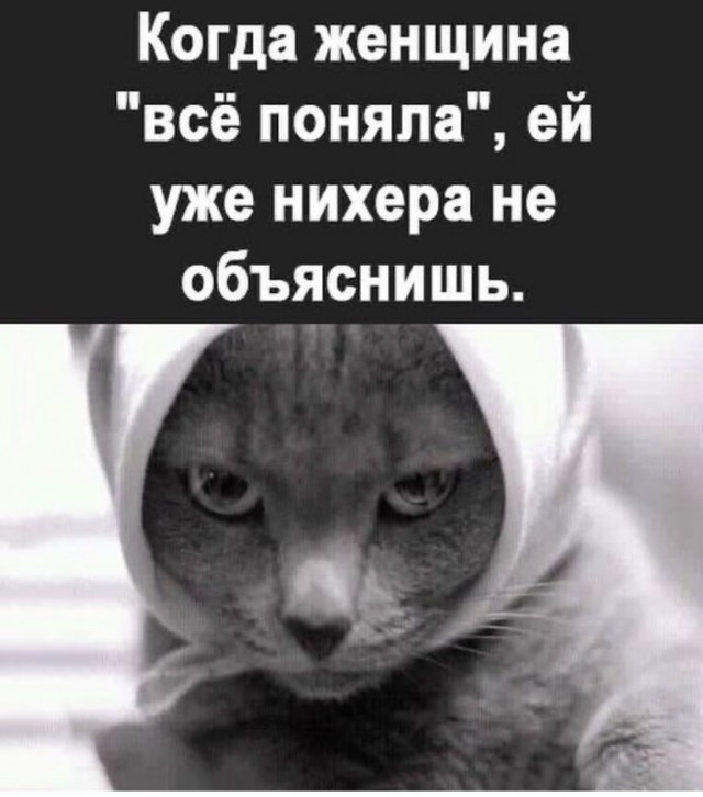 Так себе картинки 09.06.23