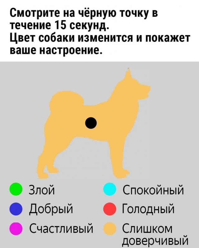 Так себе картинки 22.06.23