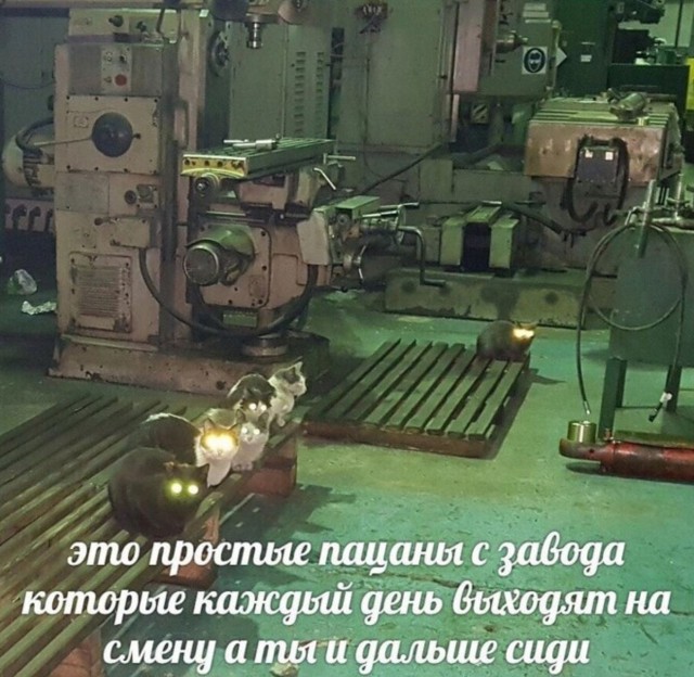 Зафиксирован сильнейший дефицит кадров в России на заводах за 25 лет — газета «Ведомости»