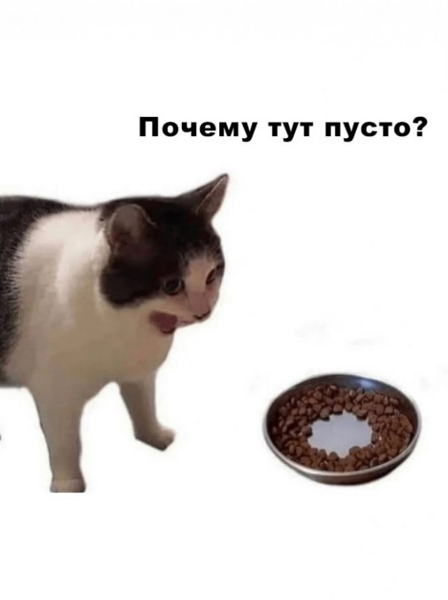 Юмор в картинках и без