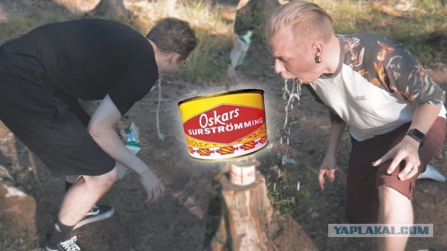 ЯП, нужен совет!
