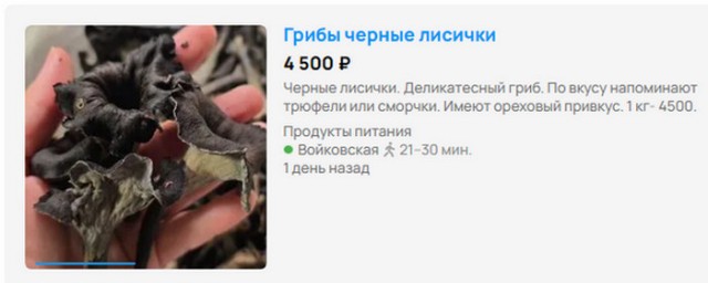 Что за гриб?