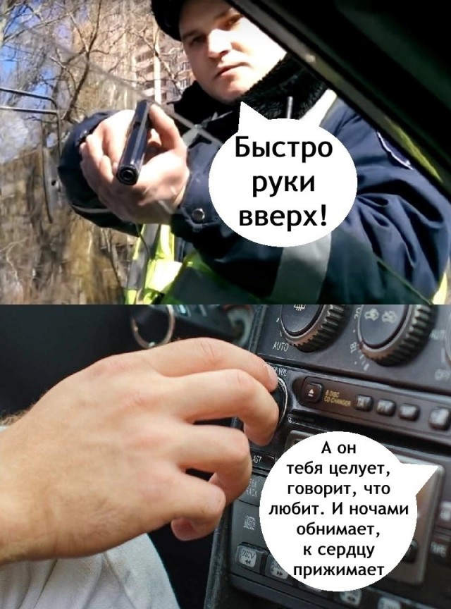 Веселые картинки в пятницу (14.02)
