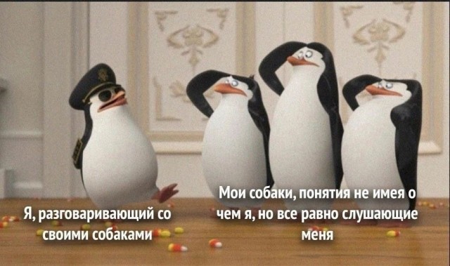Весёлый полтишок 16.02.25