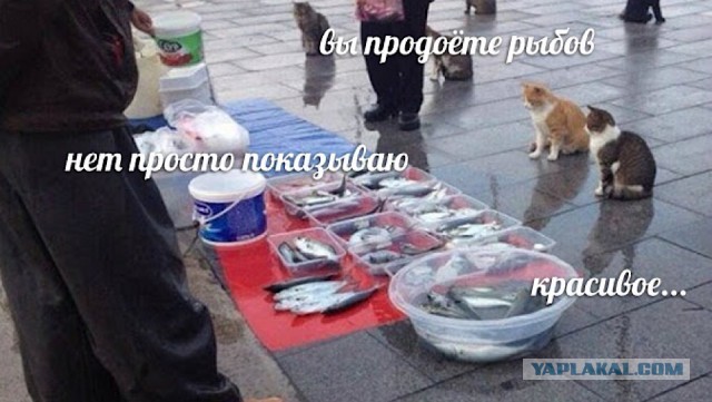 Прачечная? х%@чечная! министерство культуры!