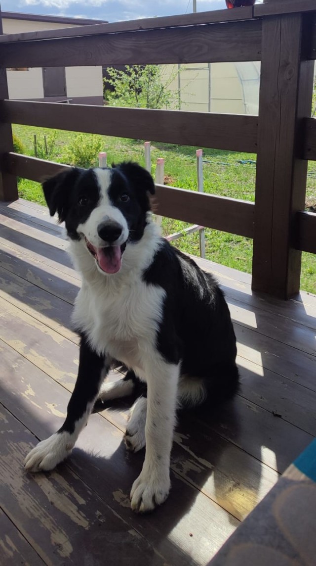 Продолжая посты про жизнь яиц.