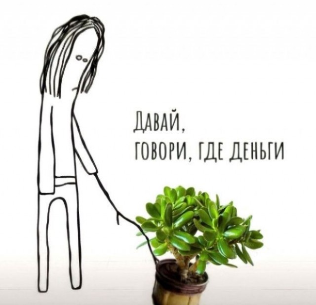 Вот, вымахал за лето.