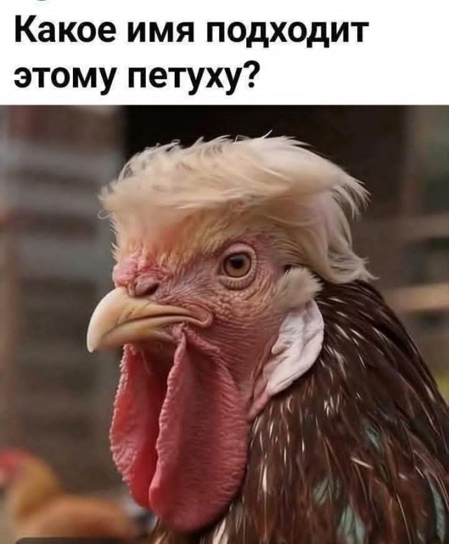 Маленькая пятница 26.11
