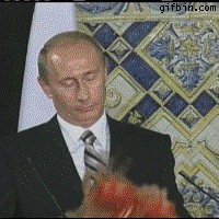 В России могут заблокировать все сервисы Google