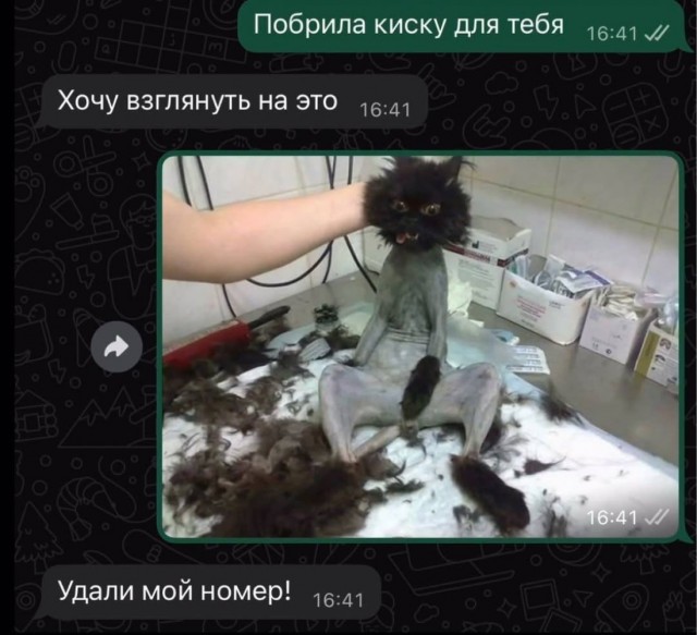 Воскресные картинки