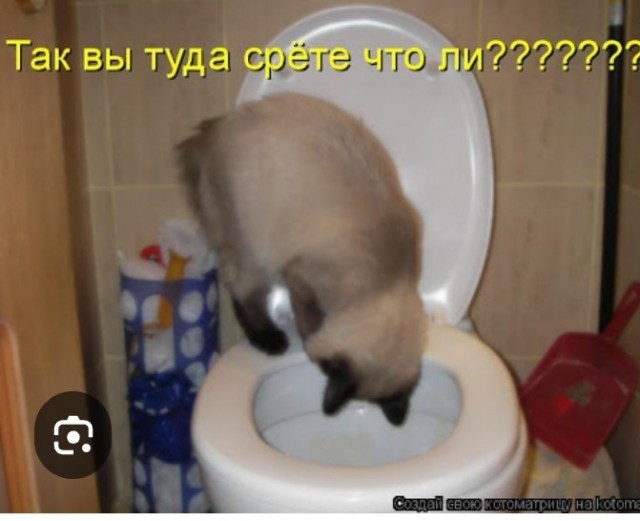 В догонку темы про газификацию.
