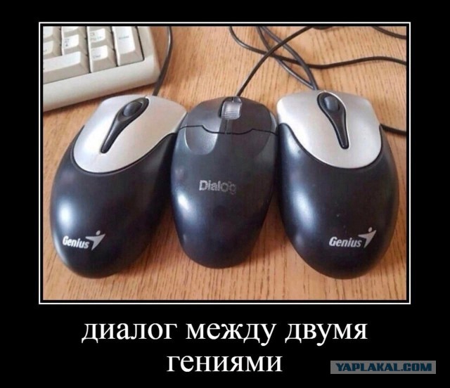 Веселые картинки в пятницу (03.07)