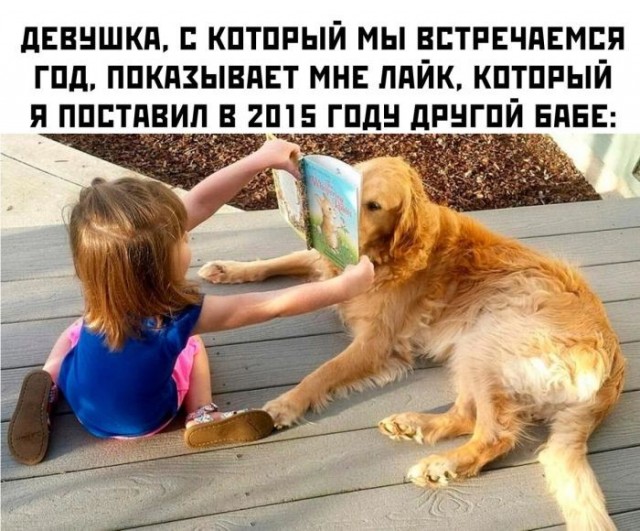 Картинки для деградации 245 (разной степени свежести)