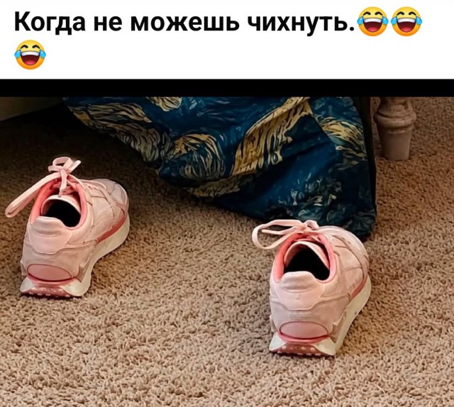 Картинки для деградации 267 (разной степени свежести)