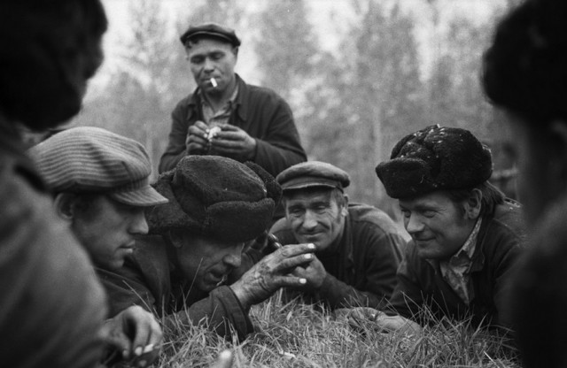 Владимир Соколаев