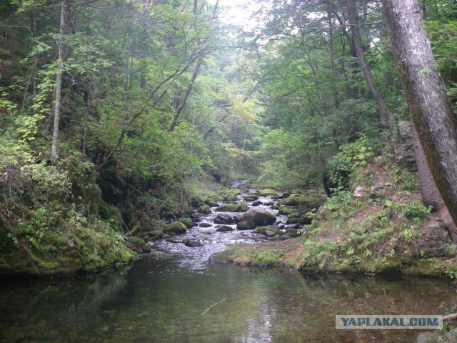 Природа Приморского края