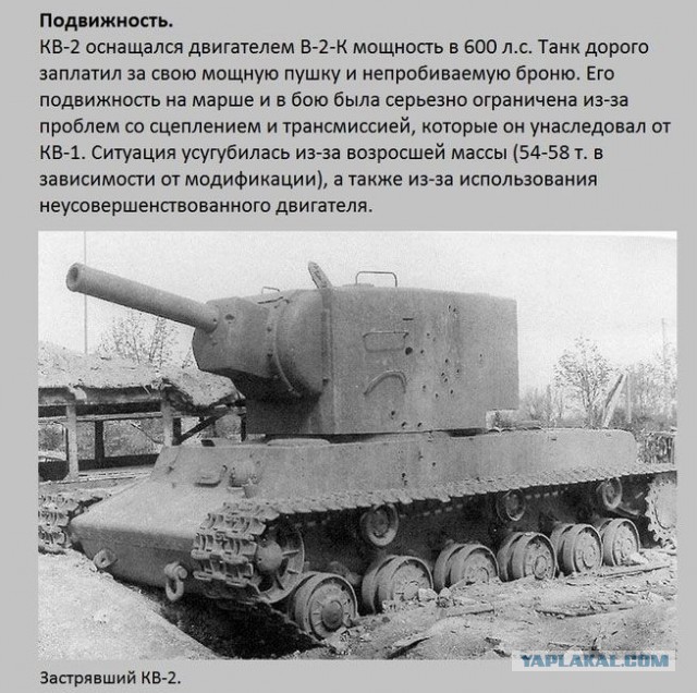 20 фактов обо всем
