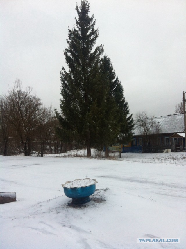 Деревенская Америка