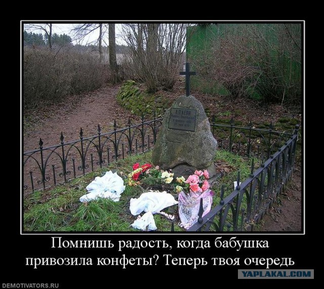 Как выжить в условиях бабушко-апокалипсиса